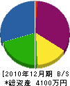 田之上電気 貸借対照表 2010年12月期