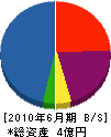 長野建設 貸借対照表 2010年6月期