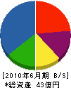 羽田コンクリート工業 貸借対照表 2010年6月期