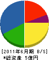 日本道路システム 貸借対照表 2011年6月期