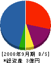 嶋田機設工業 貸借対照表 2008年9月期