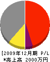桜田電気商会 損益計算書 2009年12月期