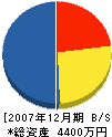 琉球オーエム 貸借対照表 2007年12月期