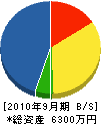 澤田組 貸借対照表 2010年9月期