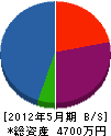 日誠土木 貸借対照表 2012年5月期
