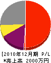 ナカムラ塗装店 損益計算書 2010年12月期