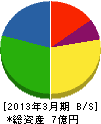 寺田硝子店 貸借対照表 2013年3月期