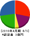 大槻ホーム 貸借対照表 2010年4月期