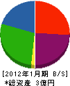 青山装飾 貸借対照表 2012年1月期