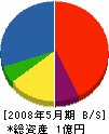 大川建設 貸借対照表 2008年5月期