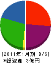 青山装飾 貸借対照表 2011年1月期