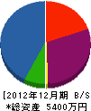 辻栄建設 貸借対照表 2012年12月期