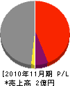 斎藤組 損益計算書 2010年11月期