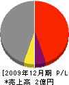 昭和舗道 損益計算書 2009年12月期