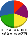 タケダ電業 貸借対照表 2011年6月期