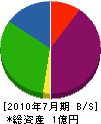 田中設備工業所 貸借対照表 2010年7月期
