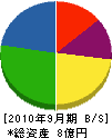 伊豆総業 貸借対照表 2010年9月期