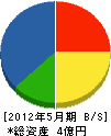 小嶋建設 貸借対照表 2012年5月期