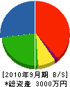 中村商会 貸借対照表 2010年9月期
