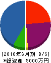 田崎建装 貸借対照表 2010年6月期