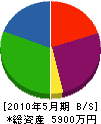 寺尾設備工業 貸借対照表 2010年5月期