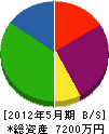 大昌興産 貸借対照表 2012年5月期