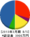 川瀬組 貸借対照表 2013年3月期