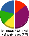 梅井工務店 貸借対照表 2010年6月期