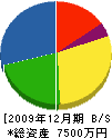 佐藤建設工業 貸借対照表 2009年12月期