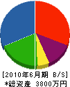 桂電設工業 貸借対照表 2010年6月期