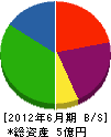 愛川建設 貸借対照表 2012年6月期