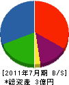 小井土造園土木 貸借対照表 2011年7月期