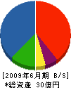 富士建設工業 貸借対照表 2009年6月期