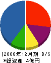 堀江商会 貸借対照表 2008年12月期