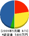 内田鉄工 貸借対照表 2009年5月期