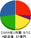東亜工業 貸借対照表 2009年3月期
