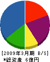 筑紫工業 貸借対照表 2009年3月期