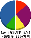 藤沢材木店 貸借対照表 2011年5月期