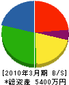 ライフライン岩崎 貸借対照表 2010年3月期