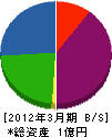 山幸興業 貸借対照表 2012年3月期