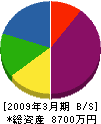 井川電設 貸借対照表 2009年3月期