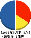 大雄土木 貸借対照表 2009年5月期