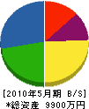 神成電気商会 貸借対照表 2010年5月期