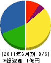 勝崎電気工業 貸借対照表 2011年6月期