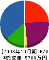 大善硝子店 貸借対照表 2008年10月期