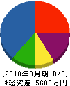田中興業 貸借対照表 2010年3月期