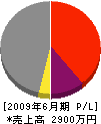 大塚工務店 損益計算書 2009年6月期