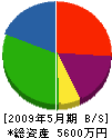 鈴木建設 貸借対照表 2009年5月期