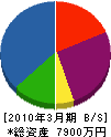 千葉燃料店 貸借対照表 2010年3月期