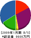 後藤技研 貸借対照表 2009年1月期